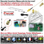 Antenne GSM Quadri-Bande SMA Centrale 2G Connecteur 3G Boutique SmartPhone Réseau Connectée Entrepôt ORIGINAL Alarme Entreprise 